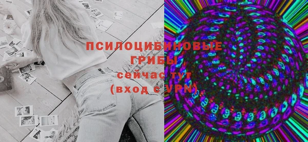 эйфоретик Аркадак