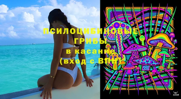 эйфоретик Аркадак